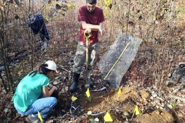 Two researchers (1 male standing, 拿着铲子, 1 female squatting next to a whole) work in a prescribed burn site to plant potted red oak trees.